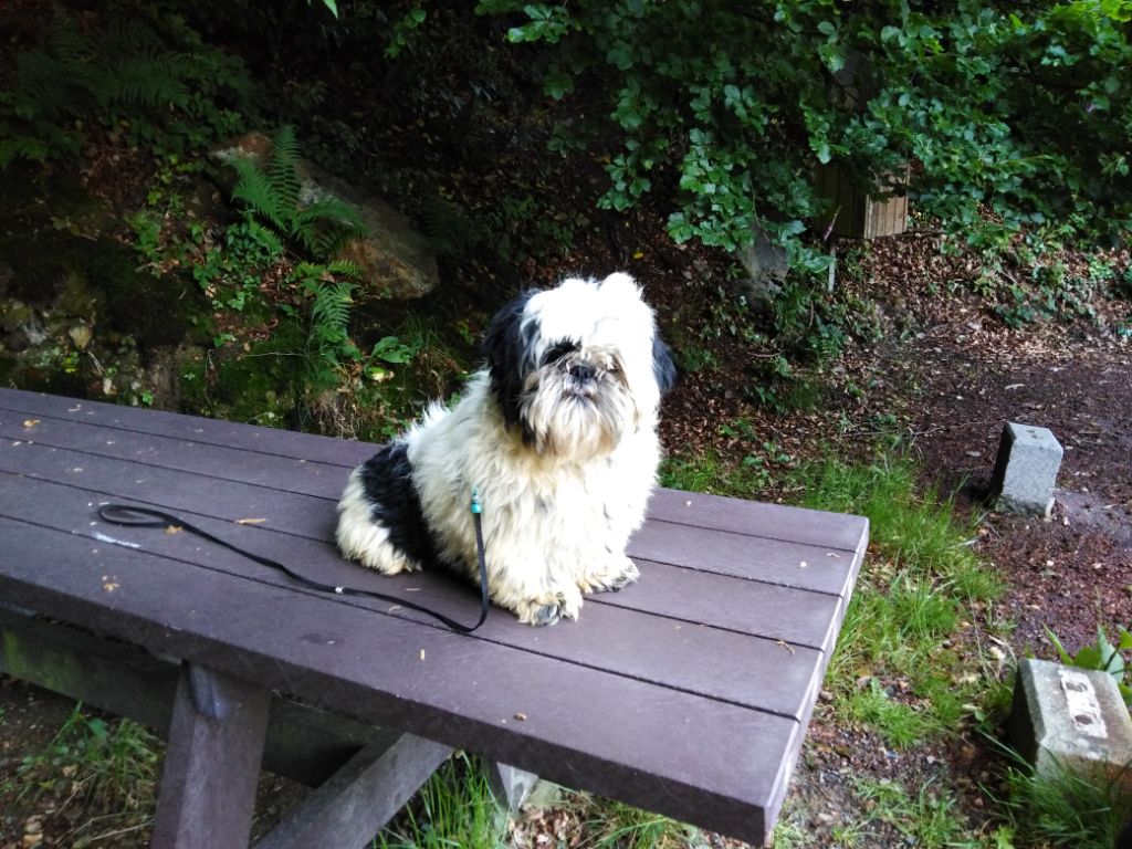 Olympe (Sans Affixe)