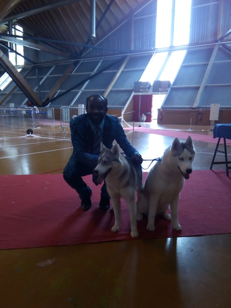 Concours Canin de AMIENS (80)